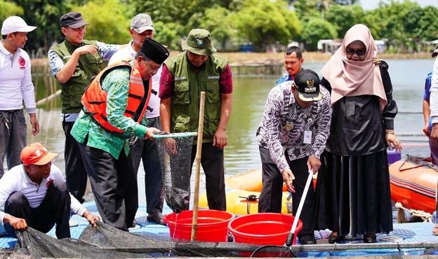 Kampung LEBAR Pinang Panen Raya 1 Kuintal Ikan Lele