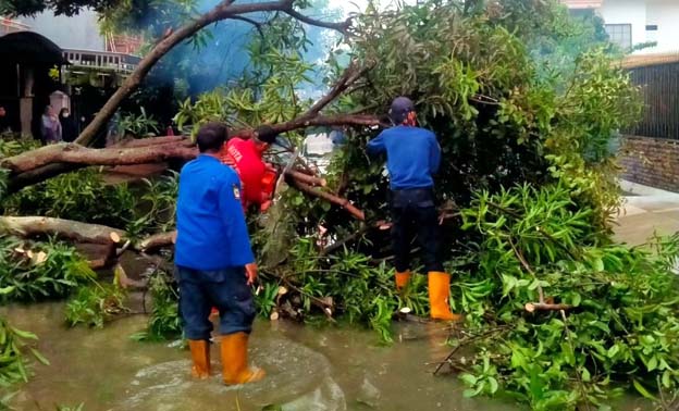 BPBD Kota Tangerang Tanggap Tangani Banjir dan Pohon Tumbang