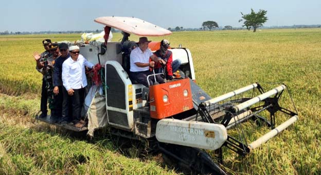 Pemprov Banten Pastikan Harga Beras Segera Kembali Normal