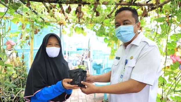 DKP Kota Tangerang Gencar Distribusikan Bibit Tanaman Gratis