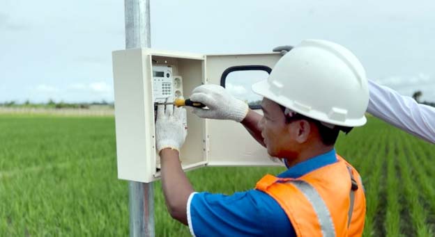 Program Electrifying Agriculture PLN Tingkatkan Pertanian Padi