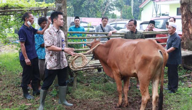 DPKP Kabupaten Tangerang Lakukan Pengawasan Hewan Kurban