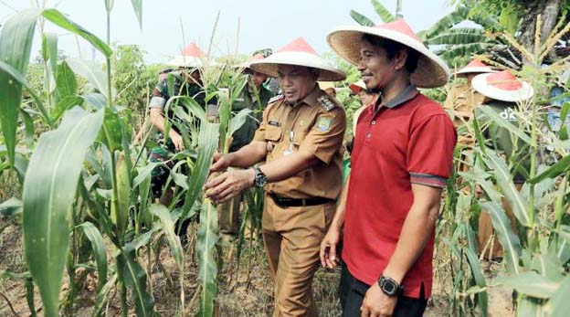 Jaga Ketahanan Pangan, Nurdin: Manfaatkan Lahan Kosong