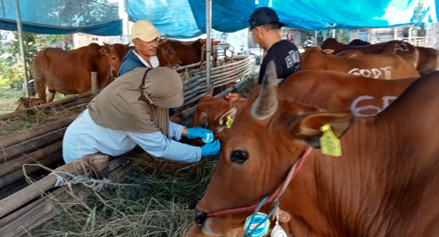Kebutuhan Hewan Kurban di Kota Tangerang Capai 18 Ribu Ekor