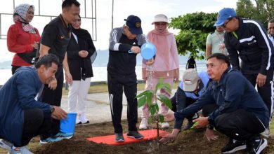 Wapres Tanam Pohon Sukun Diwaktu Sela Kunker di Mamuju