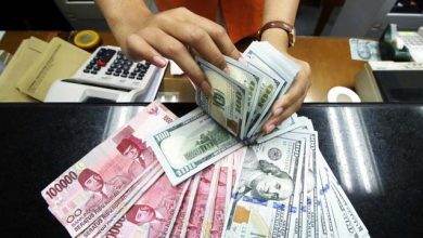 Perkembangan Indikator Stabilitas Nilai Rupiah (28 Juni 2024)