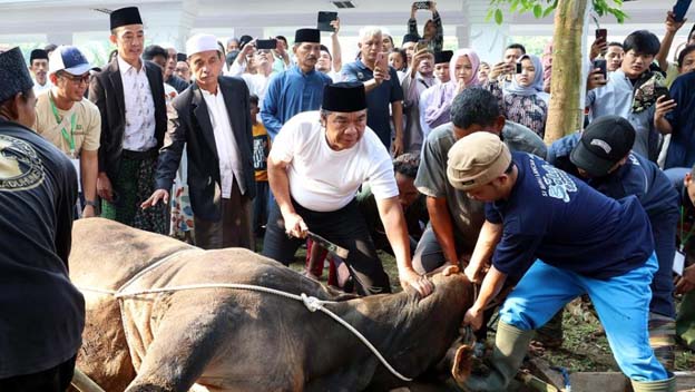 Al Muktabar Potong Hewan Kurban di Masjid Raya Al Bantani