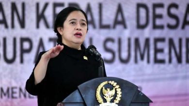Puan Dorong Pemerintah Segera Turunkan Angka Diabetes