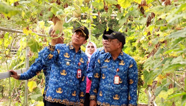 Temui KWT, Pj Bupati Tangerang Tinjau Budidaya Hidroponik