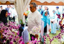 Benyamin Dorong Orchid Festival Jadi Agenda Tahunan untuk Promosi Tangsel