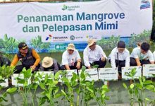 Pemkab Tangerang Tanam Mangrove di Desa Ketapang