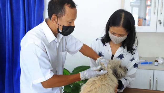 Puskeswan Kota Tangerang Beri Pengobatan Gratis Peliharaan