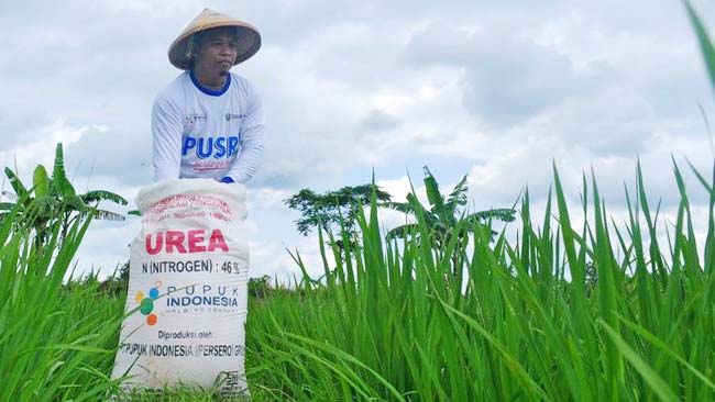 Musim Tanam, Penyaluran Pupuk Bersubsidi Capai 6,6 Juta Ton