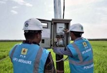 PLN Raih 53.539 Pelanggan Baru Electrifying Agriculture