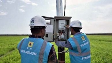 PLN Raih 53.539 Pelanggan Baru Electrifying Agriculture