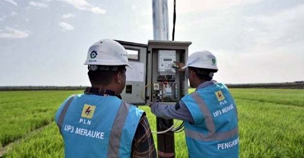 PLN Raih 53.539 Pelanggan Baru Electrifying Agriculture