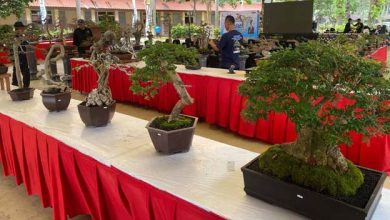 RUBI Gelar Gebyar Bonsai Memeriahkan HUT ke-32 Kota Tangerang