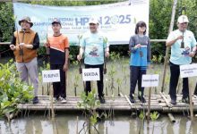 HPSN 2025, Pemkab Tangerang Lakukan Penanaman Pohon Mangrove