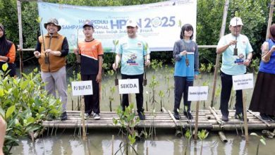 HPSN 2025, Pemkab Tangerang Lakukan Penanaman Pohon Mangrove