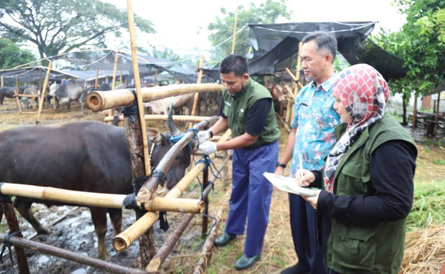 Pemkot Tangerang Ingatkan Pilih Lapak Hewan Kurban Berstiker