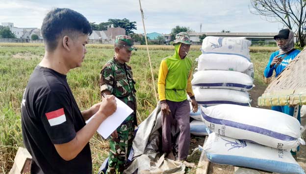 Perum Bulog Tangerang Serap 24.700 Ton Gabah Petani