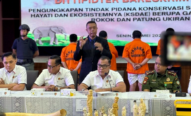 Dittipidter Bareskrim Ungkap Perdagangan Ilegal Gading Gajah