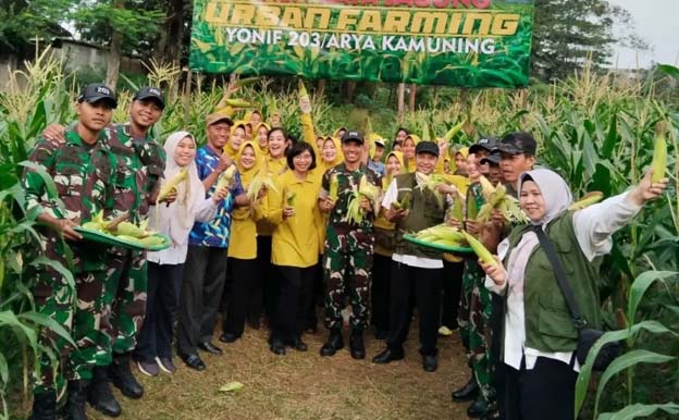 TNI dan DKP Kota Tangerang Panen Jagung di Markas Yonif 203