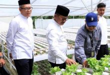 Sachrudin Kunjungi TPU Swadaya dan Food Estate di Cipondoh