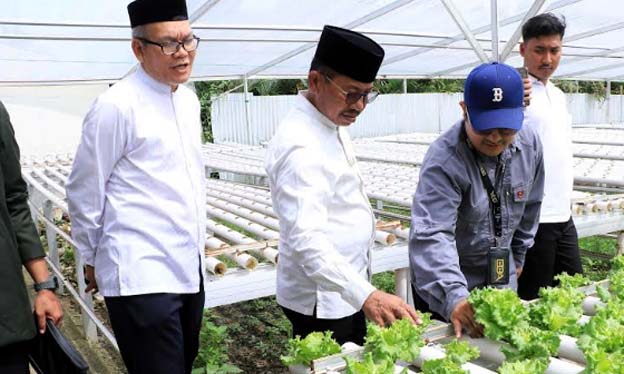 Sachrudin Kunjungi TPU Swadaya dan Food Estate di Cipondoh