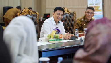 Wakil Gubernur Banten Terima Kunjungan Kerja BURT DPR RI
