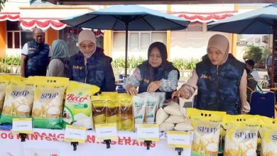 BULOG Salurkan 8 Ribu Ton Beras, Harga Medium Alami Penurunan