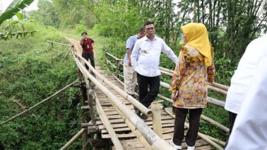 Gubernur Banten Andra Soni Tinjau Jembatan Bambu Antar Desa