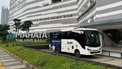 DAMRI Buka Rute Tanjung Barat–Bandara Soetta, Tarifnya Terjangkau