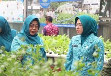 TP PKK Provinsi Banten Lakukan Pembinaan di Kelurahan Alam Jaya