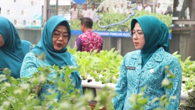 TP PKK Provinsi Banten Lakukan Pembinaan di Kelurahan Alam Jaya