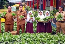 100 Ribu Siswa Kota Serang Panen Pokcoy Bersama di Sekolah