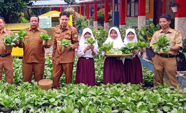 100 Ribu Siswa Kota Serang Panen Pokcoy Bersama di Sekolah