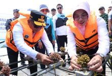 Gubernur Andra Soni Pimpin Pengayaan Terumbu Karang di Carita