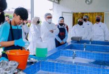 Pilar Saga Tinjau Dapur MBG, Pastikan Layak dan Sesuai Prosedur
