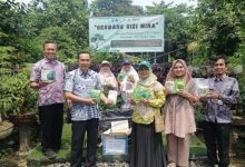Pemkot Tangerang Salurkan Bantuan Benih dan Sarana Prasarana Hidroponik