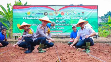 Pilar Saga Dukung Tanam Jagung Serentak bersama Polres Tangsel