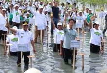 Gubernur Banten dampingi Wapres Gibran Tanam Mangrove di Pesisir Mauk