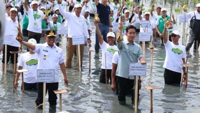 Gubernur Banten dampingi Wapres Gibran Tanam Mangrove di Pesisir Mauk