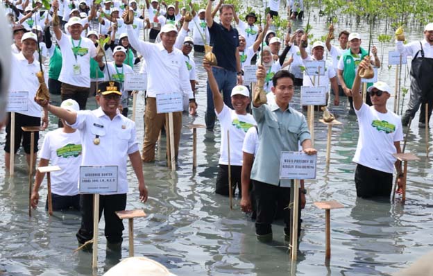 Gubernur Banten dampingi Wapres Gibran Tanam Mangrove di Pesisir Mauk