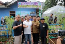 Pilar Saga Ajak Warga Hijaukan Tangsel Lewat Kegiatan Konservasi