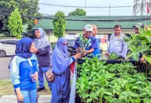DKP Kota Tangerang Bagikan Bibit Tanaman Gratis di Tugu Adipura