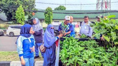 DKP Kota Tangerang Bagikan Bibit Tanaman Gratis di Tugu Adipura