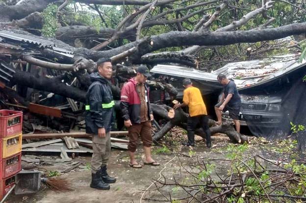 Petugas Gabungan Tangani Pohon Tumbang di Wilayah Kota Tangerang