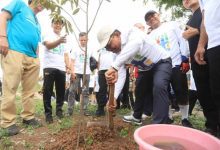 Gerakan Tanam Pohon, Sachrudin Ajak Masyarakat Merawat Lingkungan