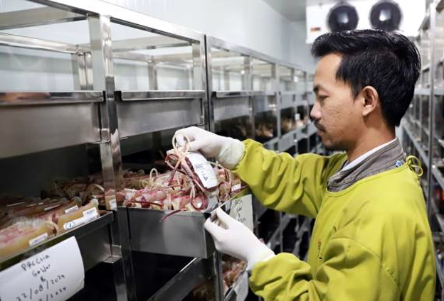 PMI Kota Tangerang Kumpulkan 75 Ribu Kantong Darah di 2025